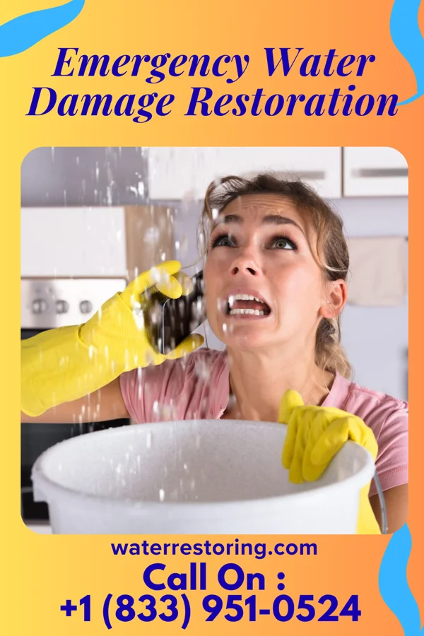 Emergency Water Damage Restoration in Candlewood Shores, CT